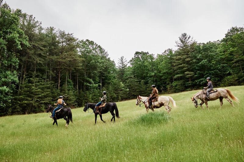 Primland Resort, Auberge Resorts Collection Meadows of Dan المظهر الخارجي الصورة