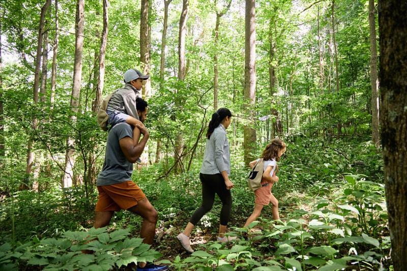 Primland Resort, Auberge Resorts Collection Meadows of Dan المظهر الخارجي الصورة